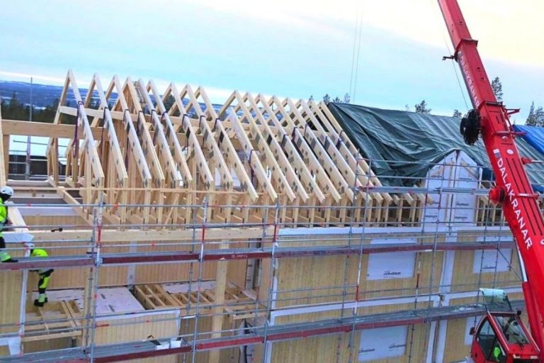 Read more about the article Koka jumta kopnes cena un aprēķins